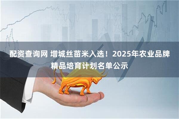配资查询网 增城丝苗米入选！2025年农业品牌精品培育计划名单公示