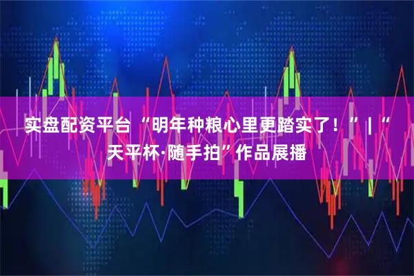 实盘配资平台 “明年种粮心里更踏实了！” | “天平杯·随手拍”作品展播