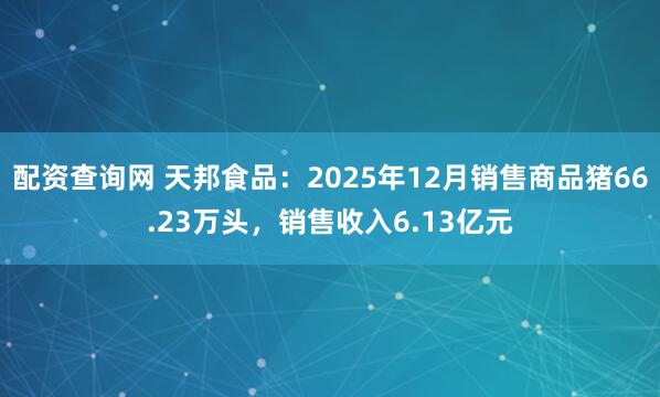 配资查询网 天邦食品：2025年12月销售商品猪66.23万头，销售收入6.13亿元